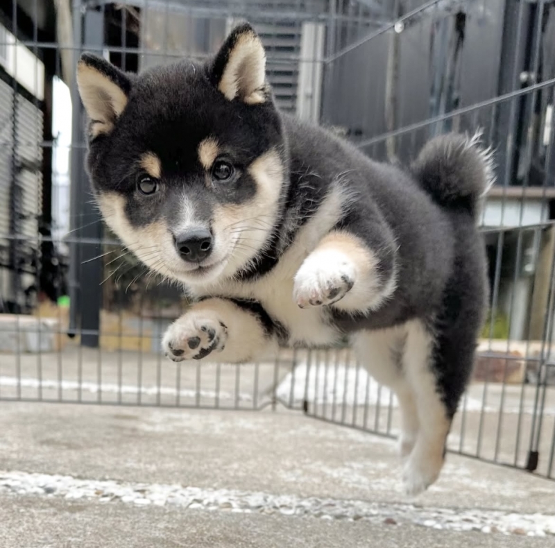 KENTO (ケント) 今日は…