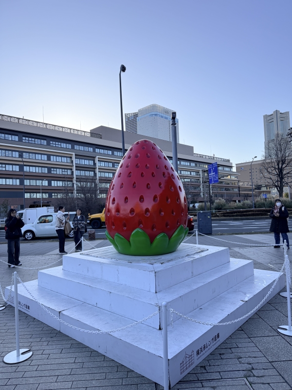 MOMO(モモ) いちごフェス始まったみたい!