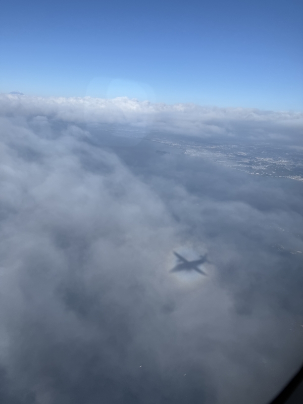 ARASHI(ｱﾗｼ) 【趣味】