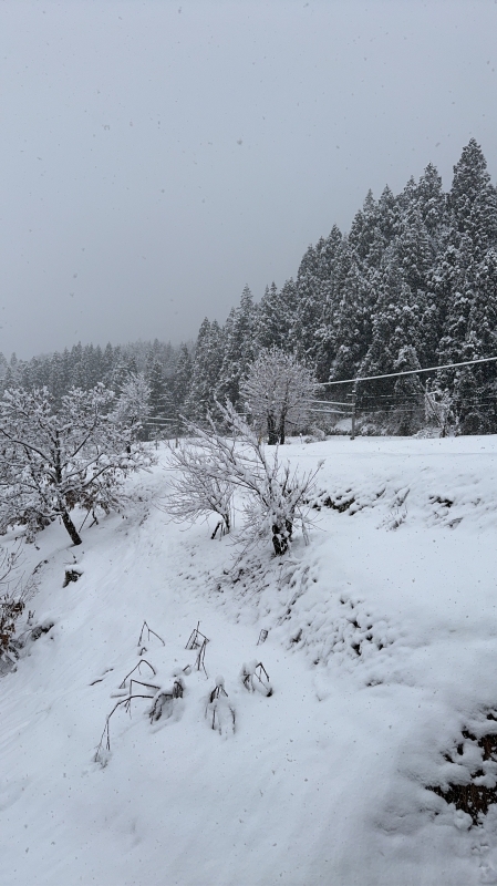 KIRATO(ｷﾗﾄ) 良い感じ❕