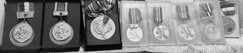 AGITO(ｱｷﾞﾄ) 【青春時代に獲得したメダル