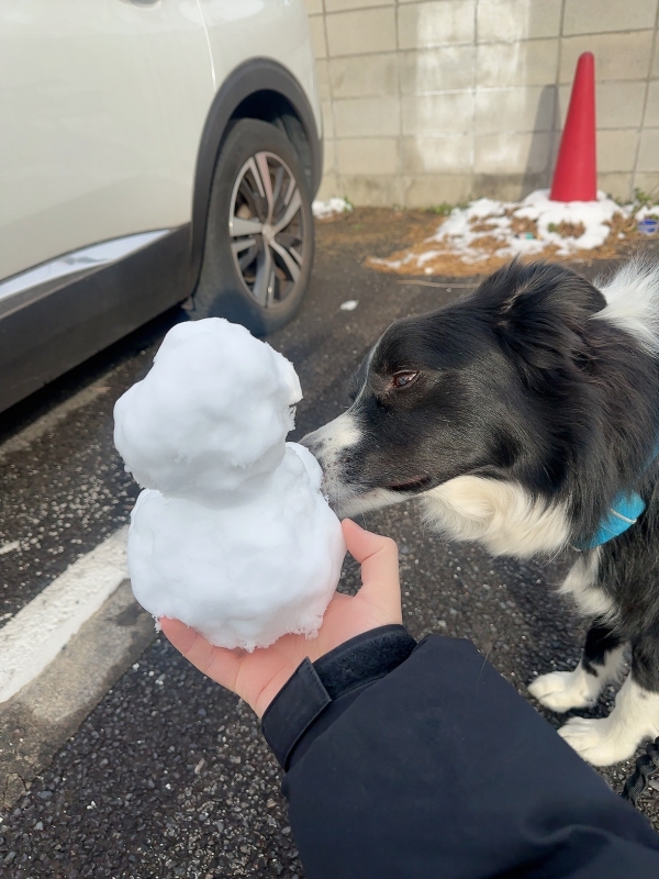 ATSUMU（ｱﾂﾑ） 厳しい視線