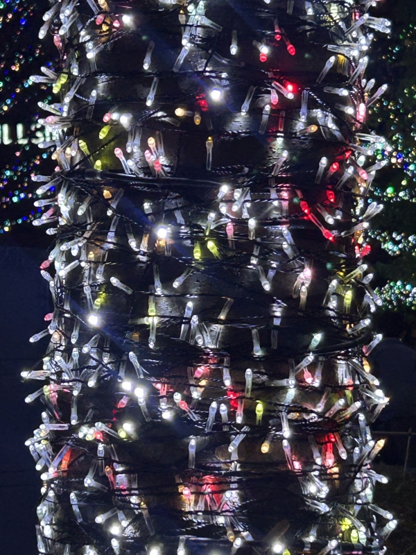 KONOSUKE(コウノスケ) イルミネーション