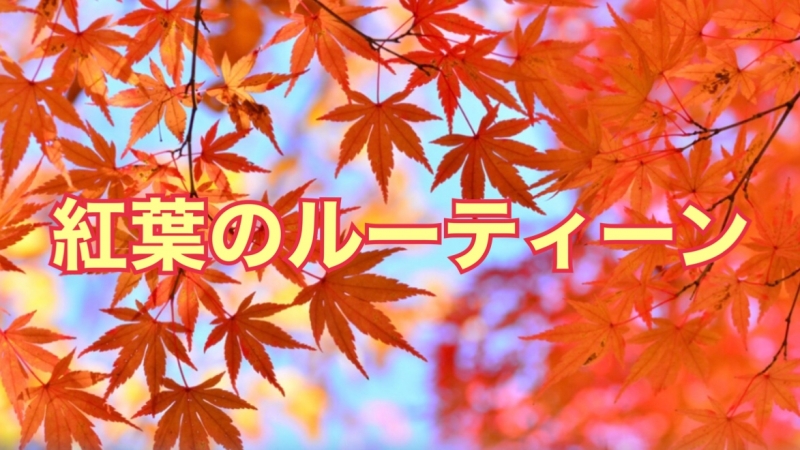 MOMIJI(ﾓﾐｼﾞ) 紅葉のルーティーン