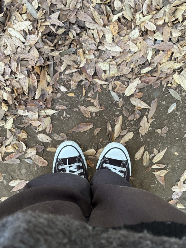 MASH(マッシュ) 秋🍂