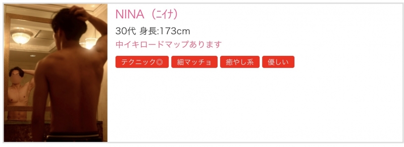 NINA（ﾆｲﾅ） 固定ポスト