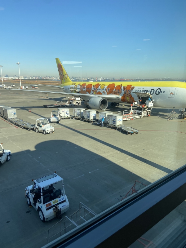 RUI(ルイ) 東京から帰還