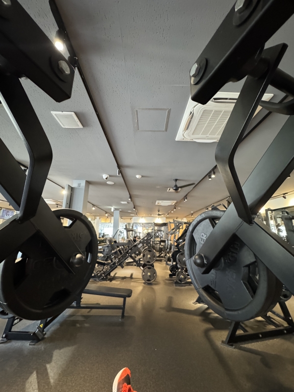 WAKA(ﾜｶ) 大将軍が見る景色