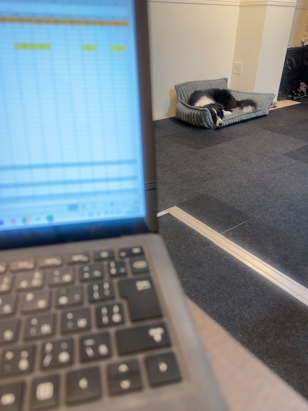 ATSUMU（ｱﾂﾑ） 1人社長の会社