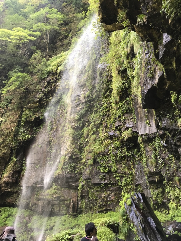 SHINGETSU(ｼﾝｹﾞﾂ) 新しい挑戦をしていこう！