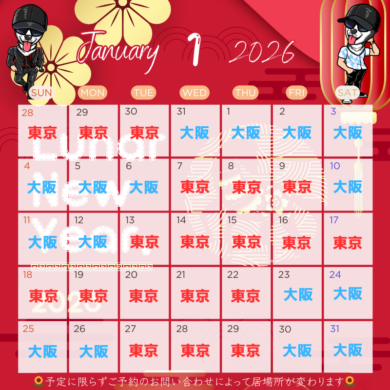 HIMAWARI(ヒマワリ) 1月の予定 東京&大阪