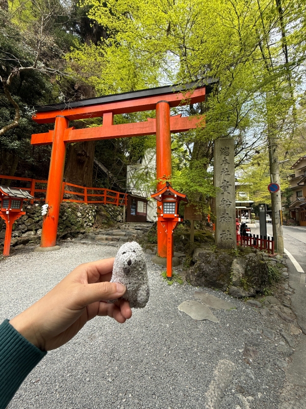 ARASHI(ｱﾗｼ) 【相棒】