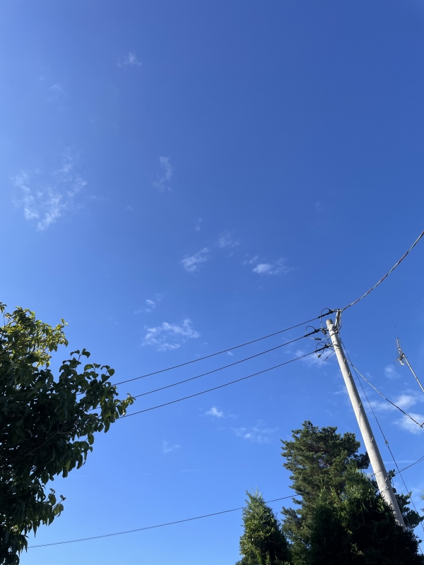 HARUMA(ハルマ) 夏だね