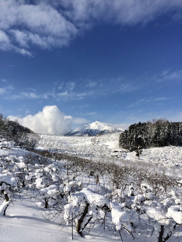 TAKE(ﾀｹ) 出身地・青森県のこと