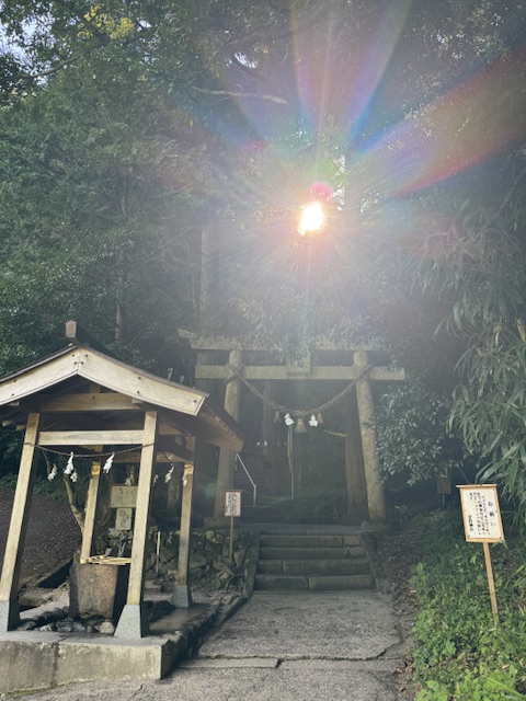 TOA(ﾄｱ) 金運あげてこ