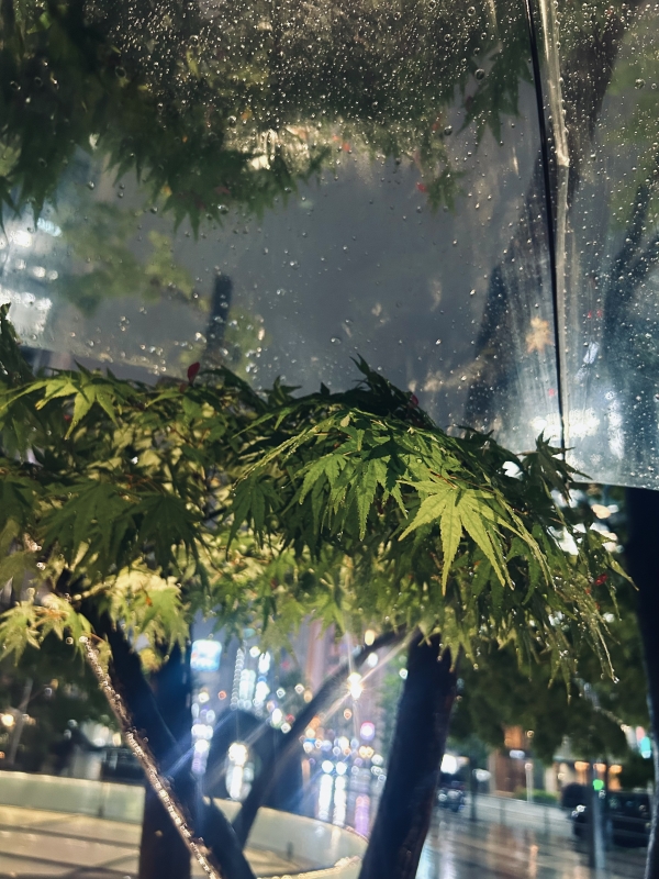 KONOSUKE(ｺｳﾉｽｹ) 雨宿りさせてあげてる