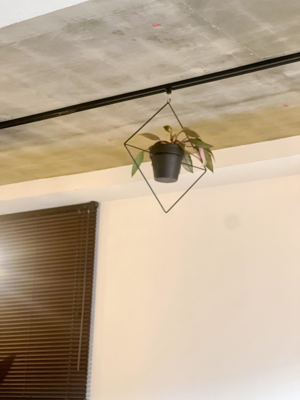 SAICHI(ｻｲﾁ) カフェの内観で気になったもの