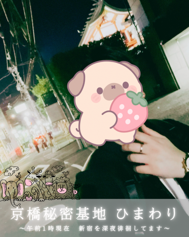 HIMAWARI(ﾋﾏﾜﾘ) 新宿の夜を徘徊中