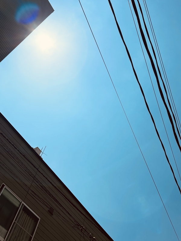KAKERU(カケル) 快晴☀️今日も良い1日に🕊️