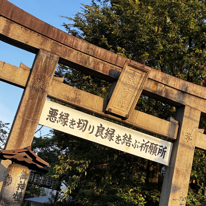 MATCHA（ﾏｯﾁｬ） 素敵な出会いを