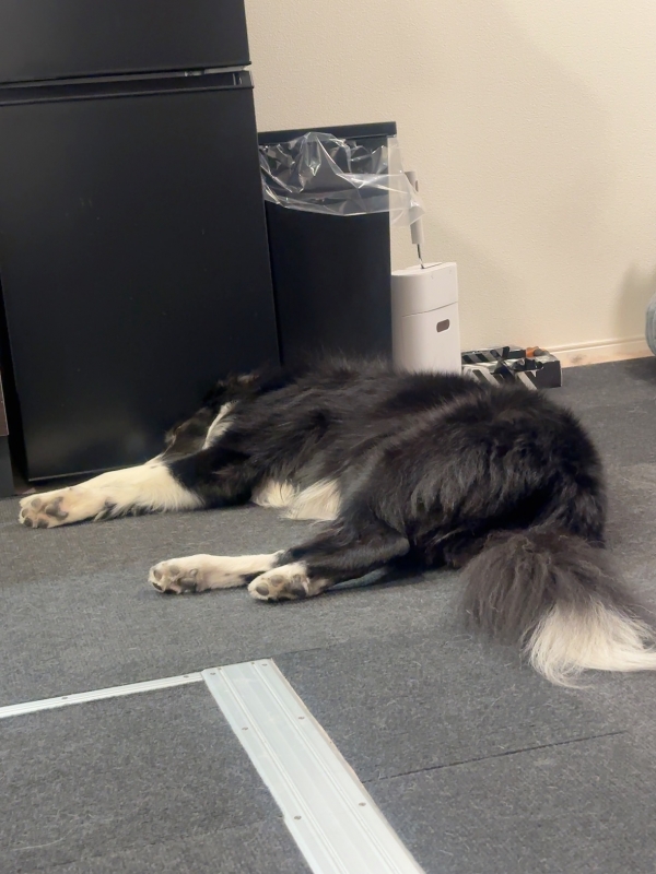 ATSUMU(アツム) 教え子