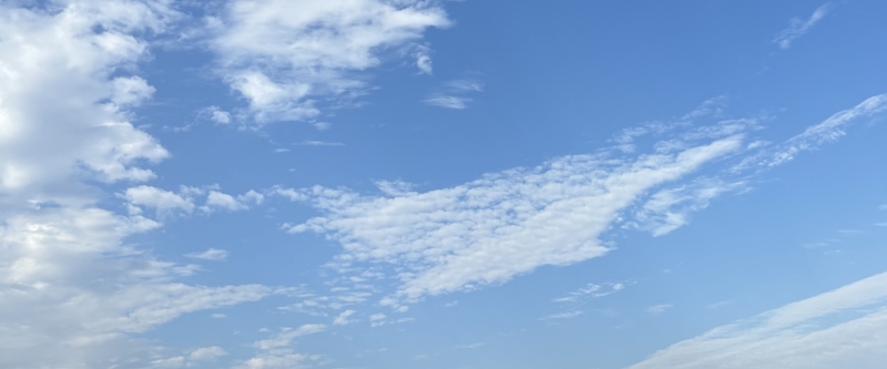 YUATO(ユアト) 好きな音楽