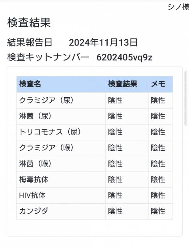 SHINO （ｼﾉ） 定期検査。