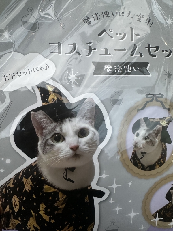 AIRI(アイリ) Look at me now