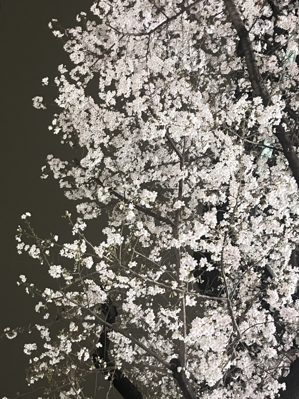 KANNA(ｶﾝﾅ) 【本日も】