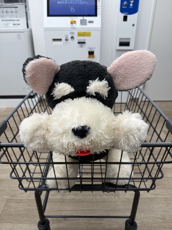 UTTY(ウッチー) 【2/11(水)】バレンタイン🍫イベントスタート🎉