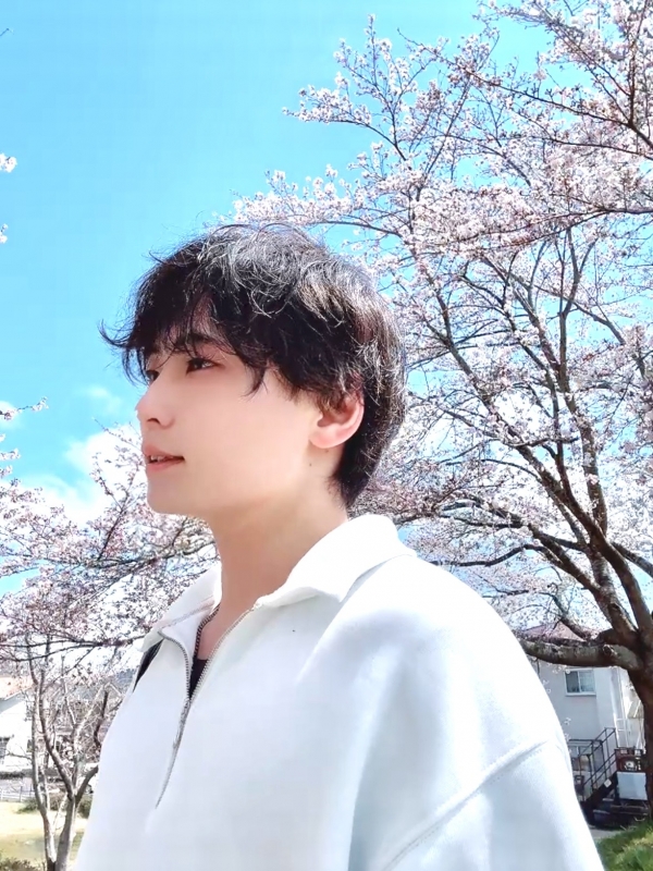 NAGOMI（ﾅｺﾞﾐ） 桜、きれいだね