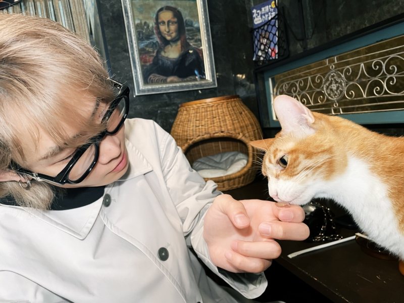 HYO(ヒョウ) 猫喫茶🐱☕𓈒𓏸︎︎︎︎