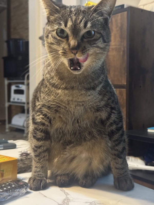 HYO(ﾋｮｳ) Tiktok更新されました✨