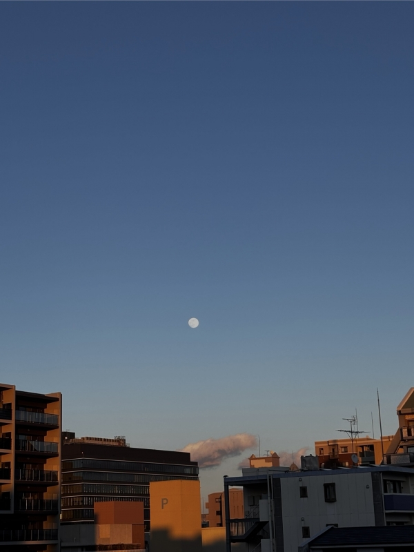 ARAN(アラン） 成人の日