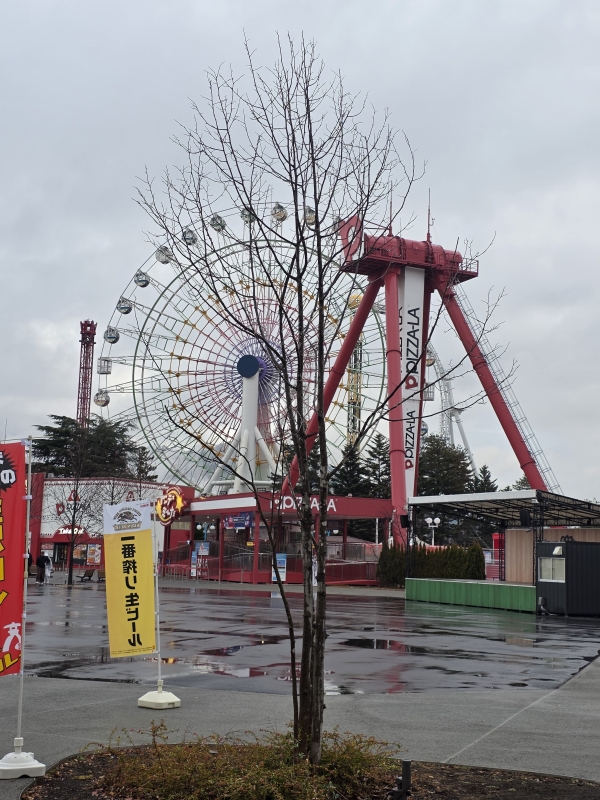 SEIICHIRO(セイイチロウ) 今年も残り1ヶ月ちょっとですね!