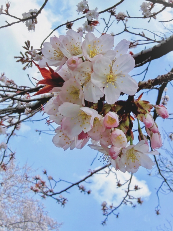 TUKIOKA(ﾂｷｵｶ) 3月もありがとうございました✨