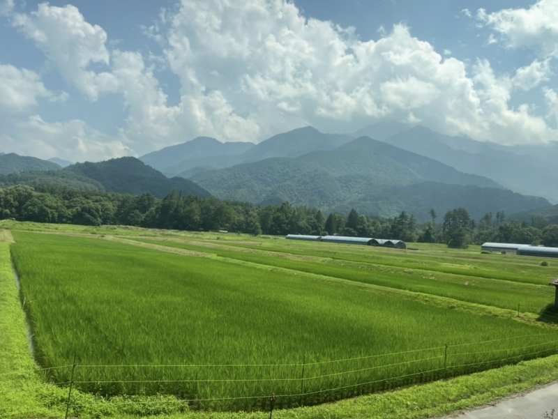 TAKAHARU（ﾀｶﾊﾙ） ひょーーう✨