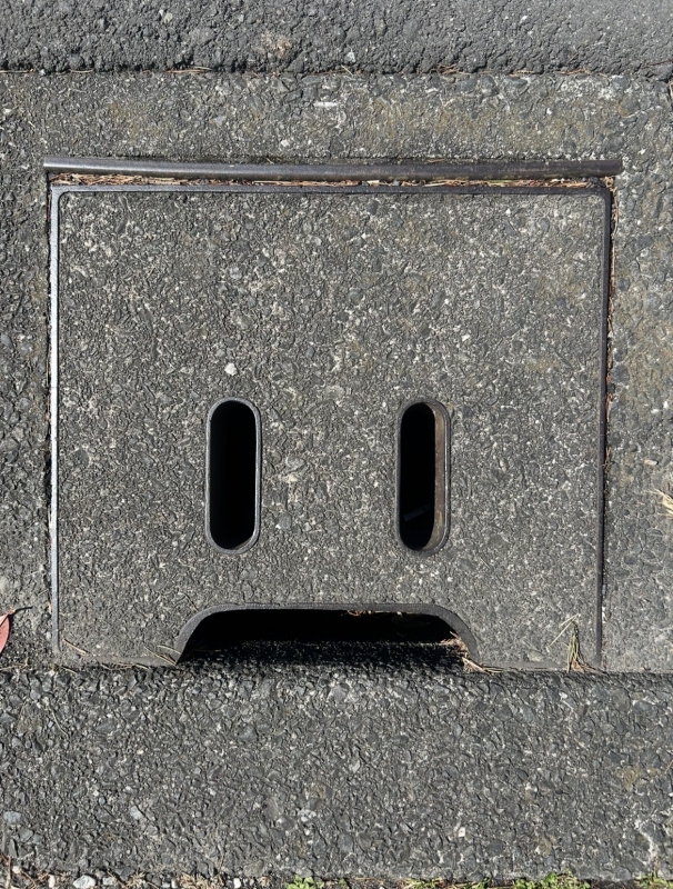 KONOSUKE(ｺｳﾉｽｹ) マリオに出て来そう