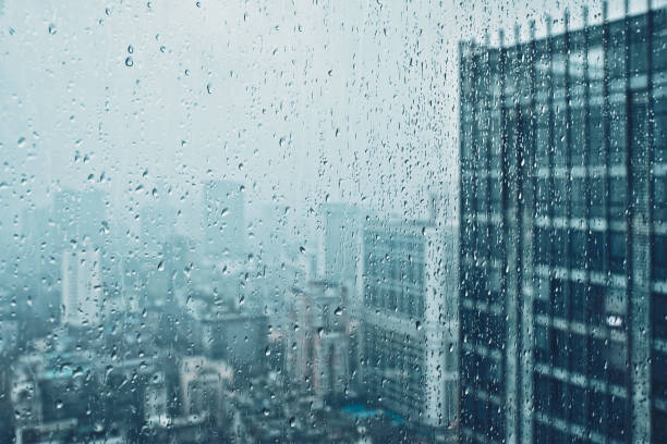 YUMEYA(ユメヤ) 雨