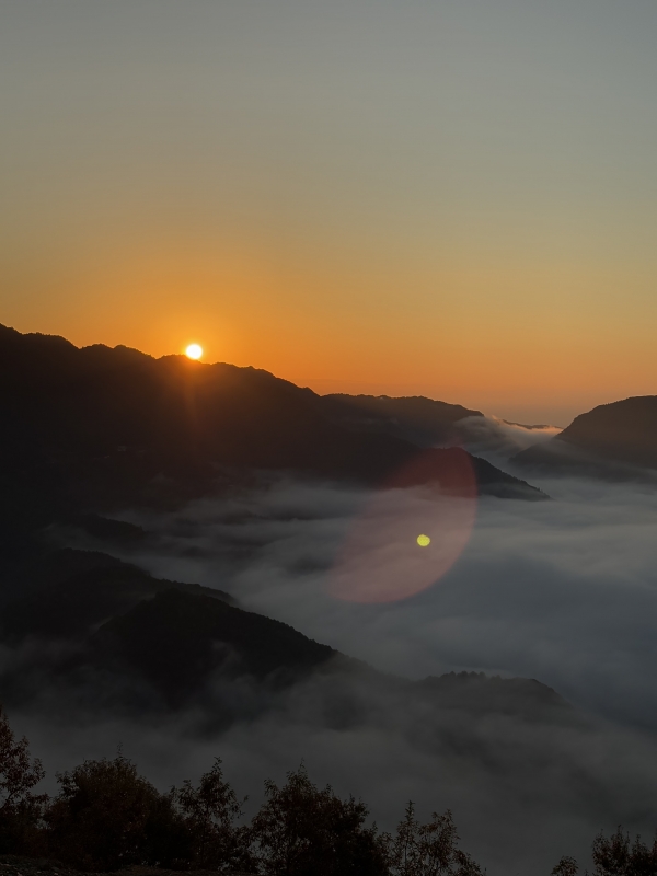 MASH(マッシュ) 日の出🌅