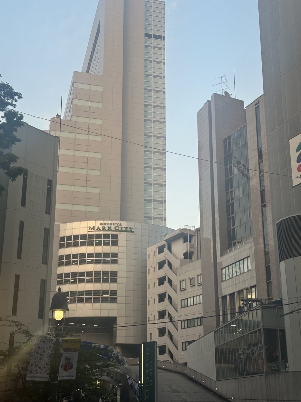 AIRI(ｱｲﾘ) マリオカートに付き合わされてる人