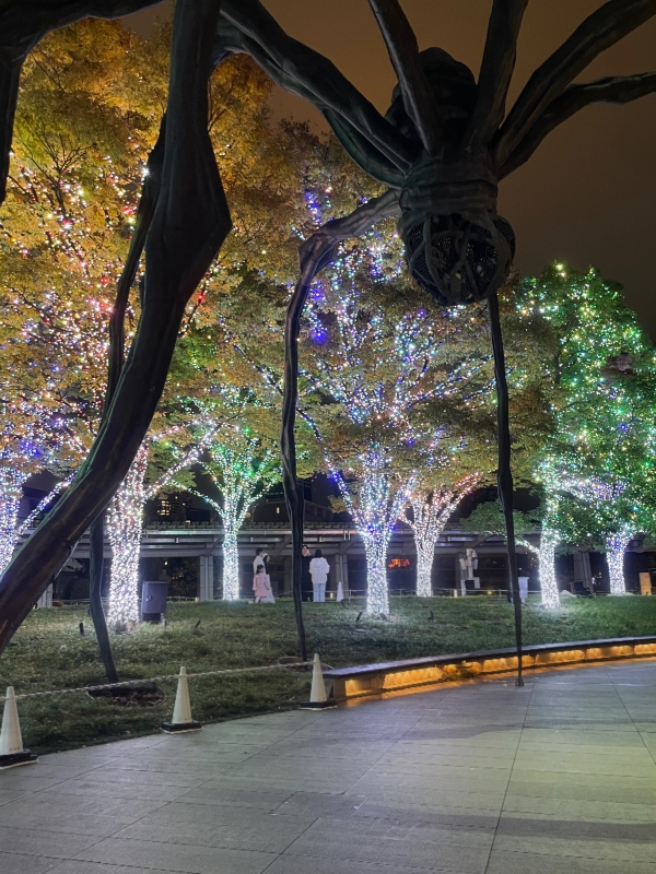 KLUTCH(ｸﾗｯﾁ) 綺麗