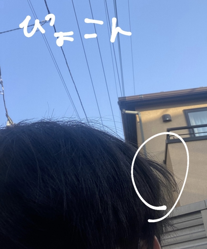 TORIMARU(ﾄﾘﾏﾙ) NEGUSE 記録