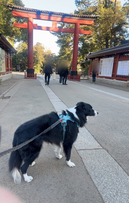 ATSUMU（ｱﾂﾑ） 人生一回きり