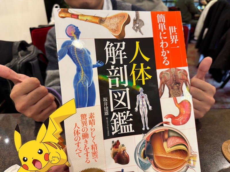 KISUMI(ｷｽﾐ) 揉みほぐし&オイル講習