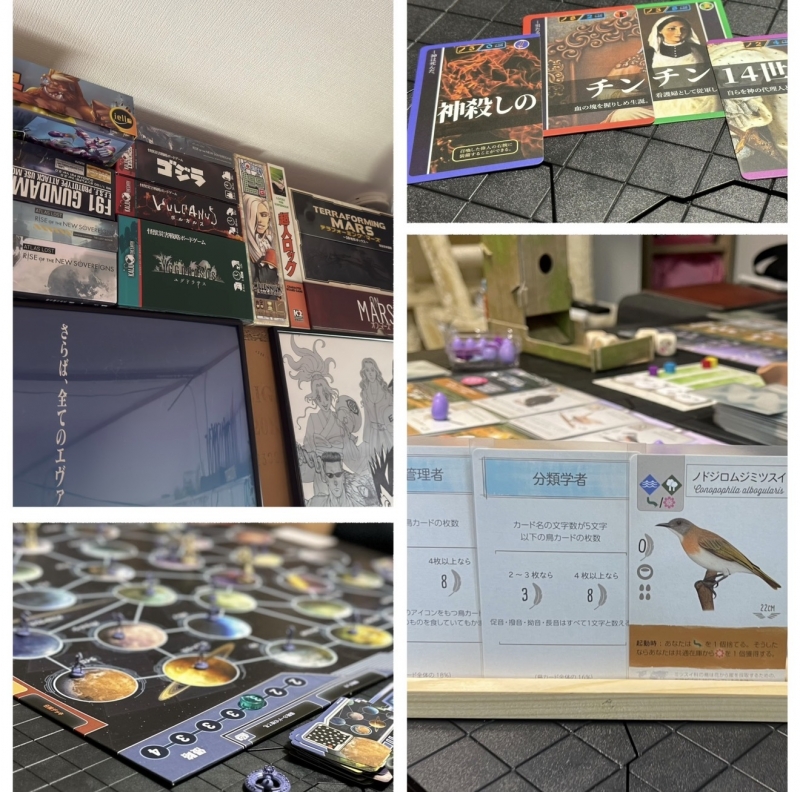 HARUWO(ﾊﾙｦ) #02｜ボドゲの沼