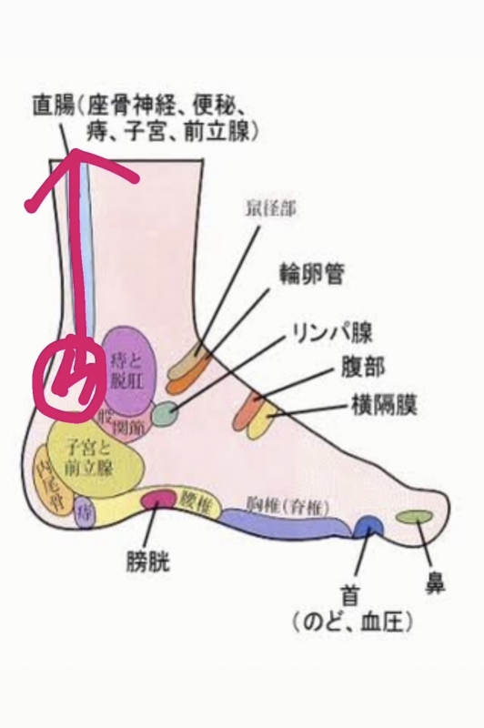 SANEMI(ｻﾈﾐ) 昨日はつきマッサージ講習✨レジュメ