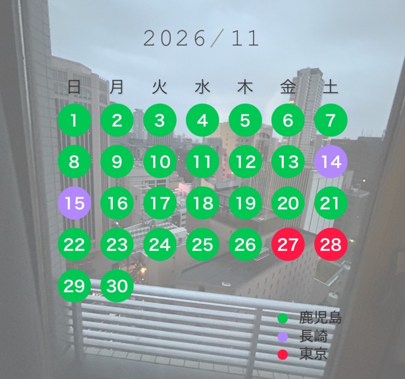 HIRO(ヒロ) 11月出張表
