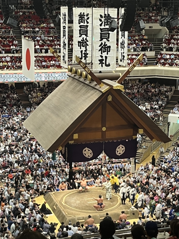 SHINNOSUKE(ｼﾝﾉｽｹ) SUMO