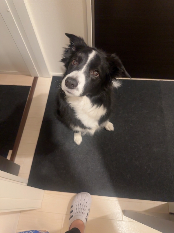 ATSUMU（ｱﾂﾑ） 刺さった言葉